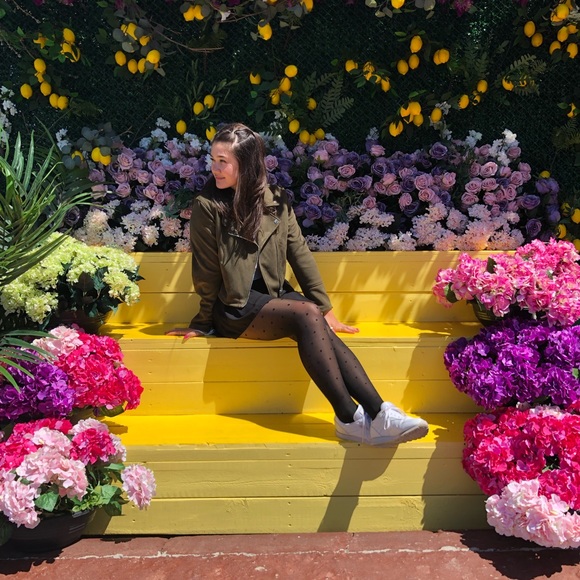 Meet your Posher, Chase - Picture 1 of 1